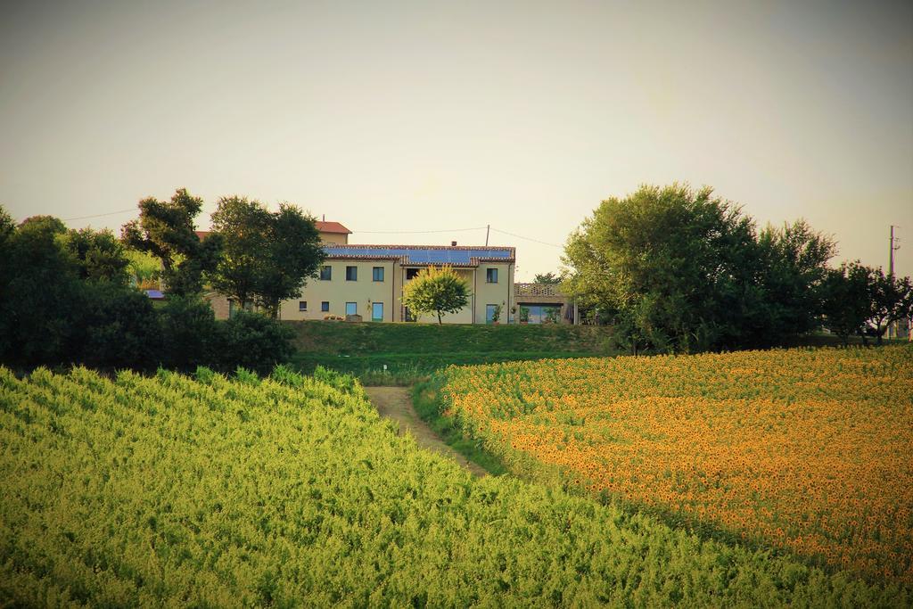 B&B Ceresa - Country House Loreto Zewnętrze zdjęcie