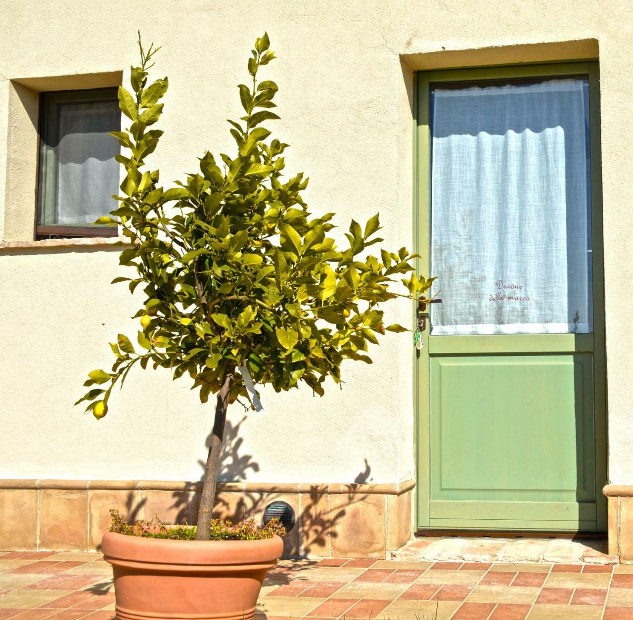 B&B Ceresa - Country House Loreto Zewnętrze zdjęcie