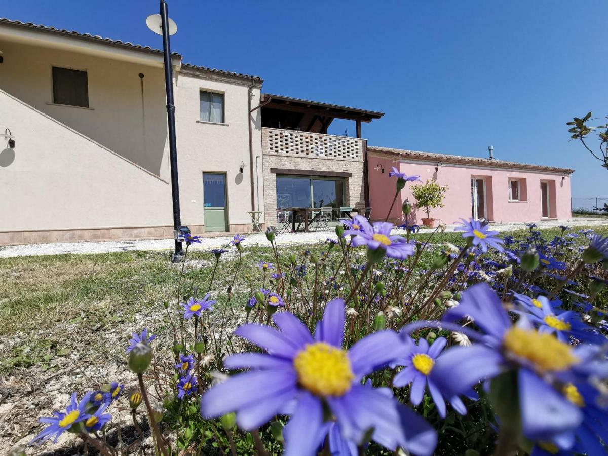 B&B Ceresa - Country House Loreto Zewnętrze zdjęcie